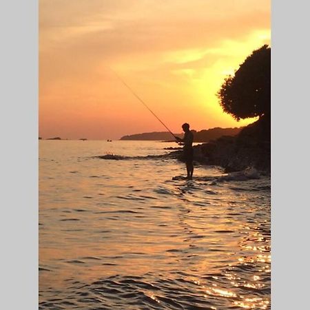 Viva 1 Rovinj Lejlighed Eksteriør billede